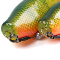 Fox Rage Zander Pro Shads Loaded